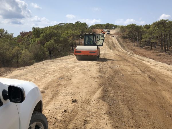 Driveway Grading Service