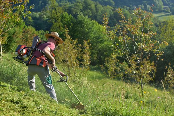 Cost of Slope Trimming in West Chester